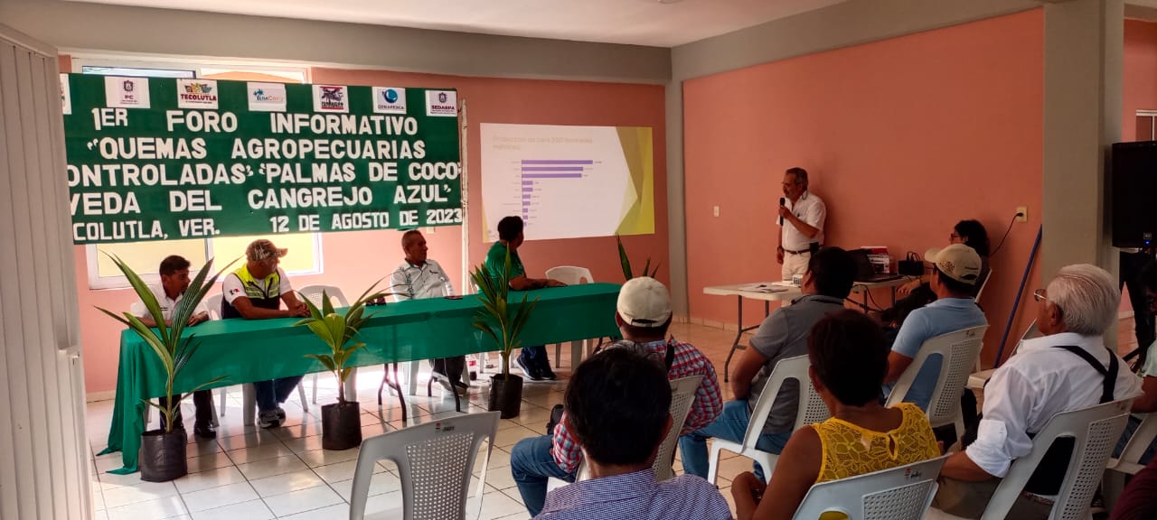 Tecnología de producción del cocotero